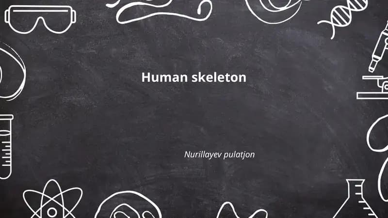 Human skeleton