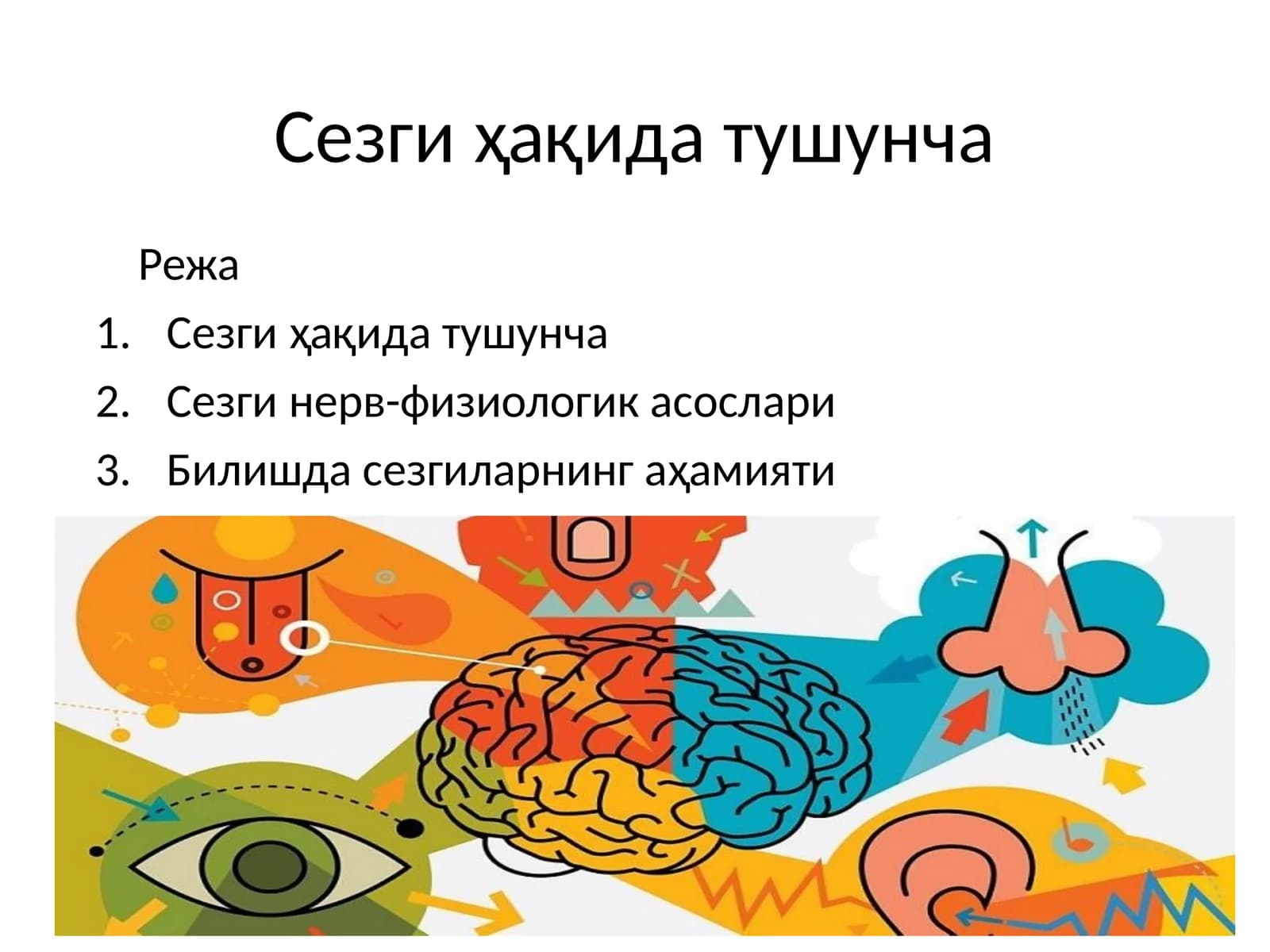 Сезги ҳақида тушунча