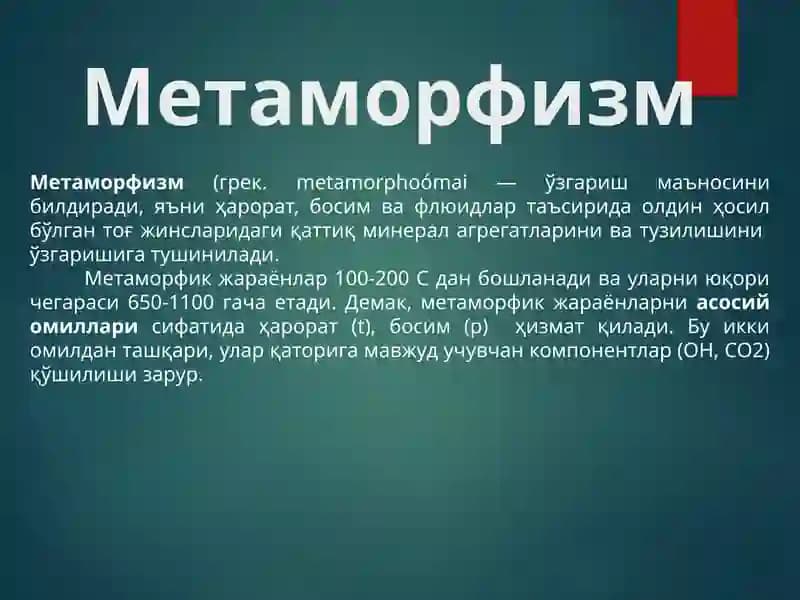 Метаморфизм