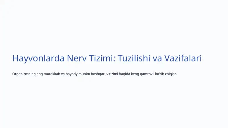 Nerv Tizimi: Tuzilishi va Vazifalari