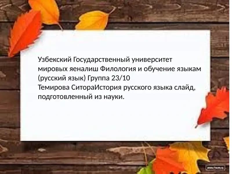 Имя существительное. Морфология