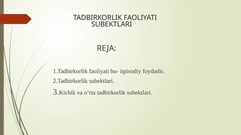 Tadbirkorlik Faoliyati Subektlari