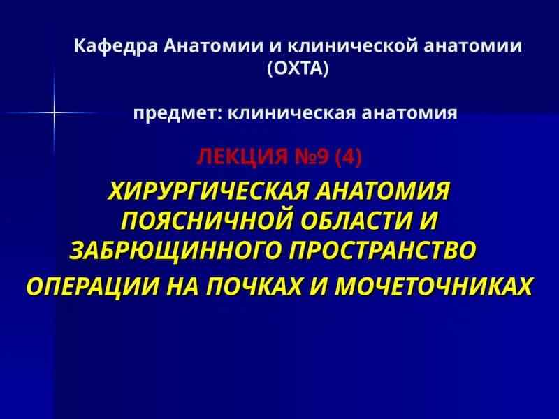Лекция №9 (4) Хирургическая анатомия