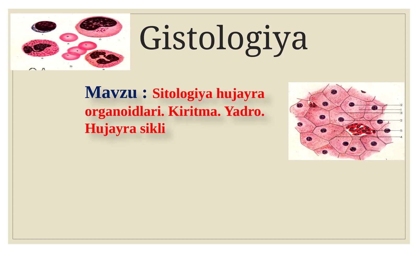 Gistologiya