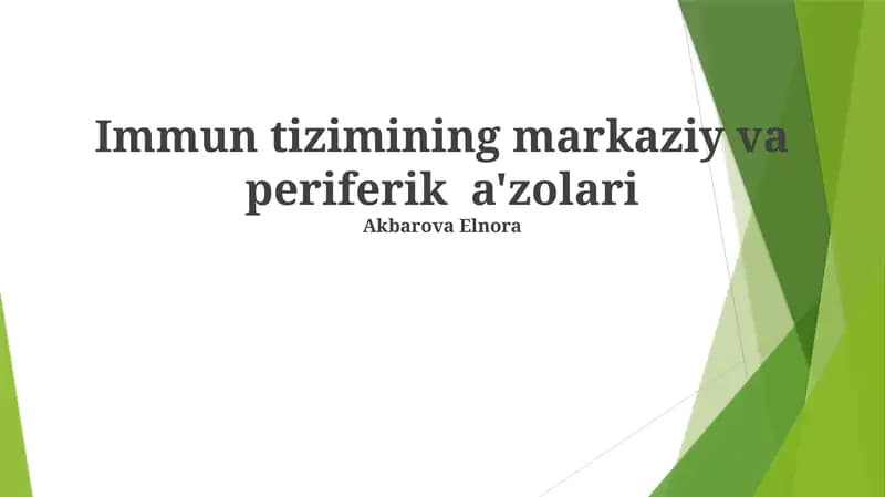 Immun tizimining markaziy va periferik a'zolari