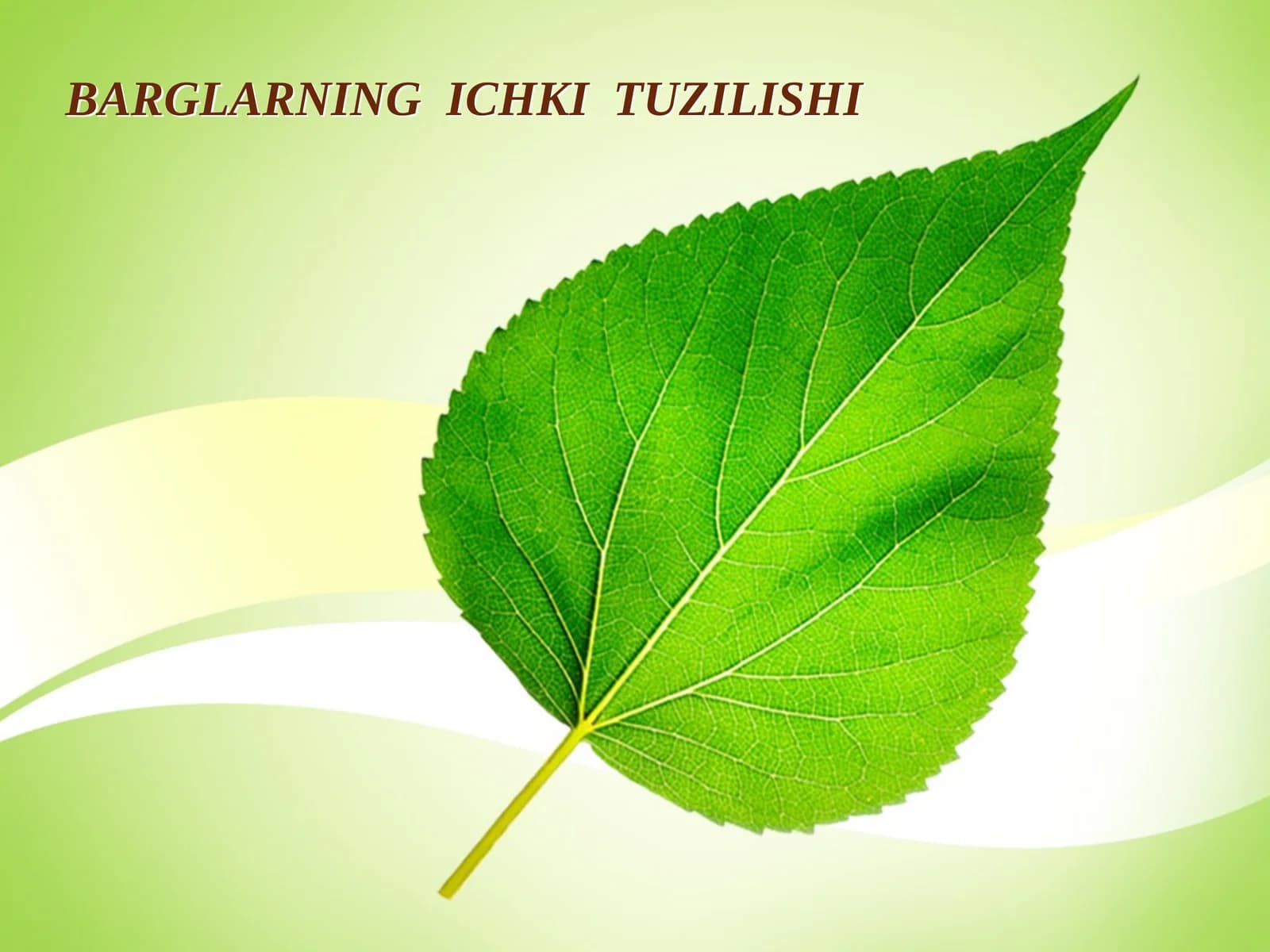 BARGLARNING ICHKI TUZILISHI