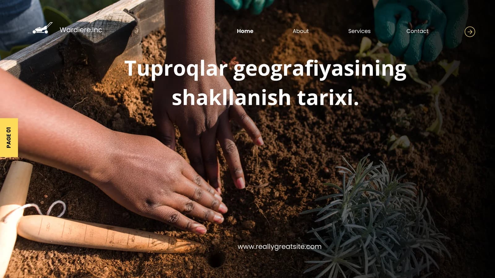 Tuproqlar geografiyasining shakllanish tarixi