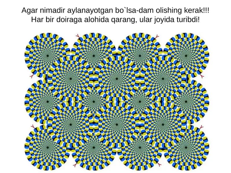 ong nimaga qodir