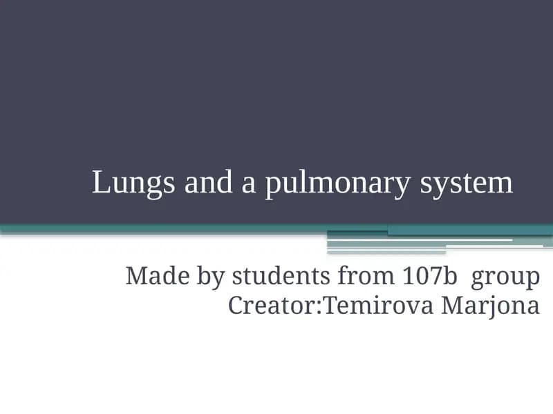 Lungs and a pulmonary system