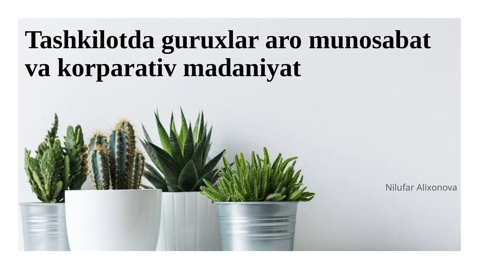 Tashkilotda guruxlar aro munosabat va korparativ madaniyat