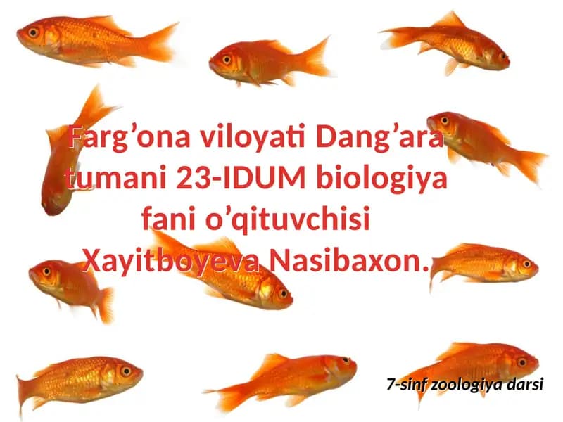 Zoologiya darsi