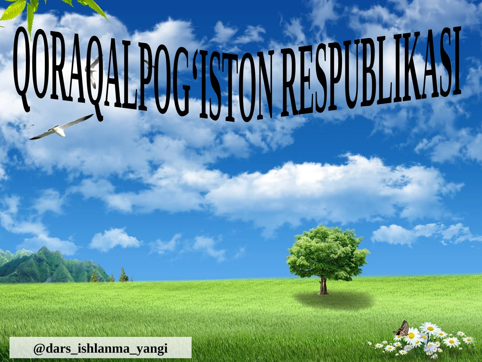 Qoraqalpoqiston Respublikasi