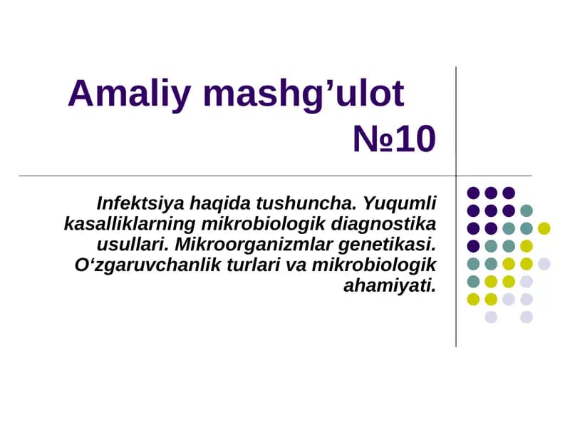 Amaliy mashg’ulot№10