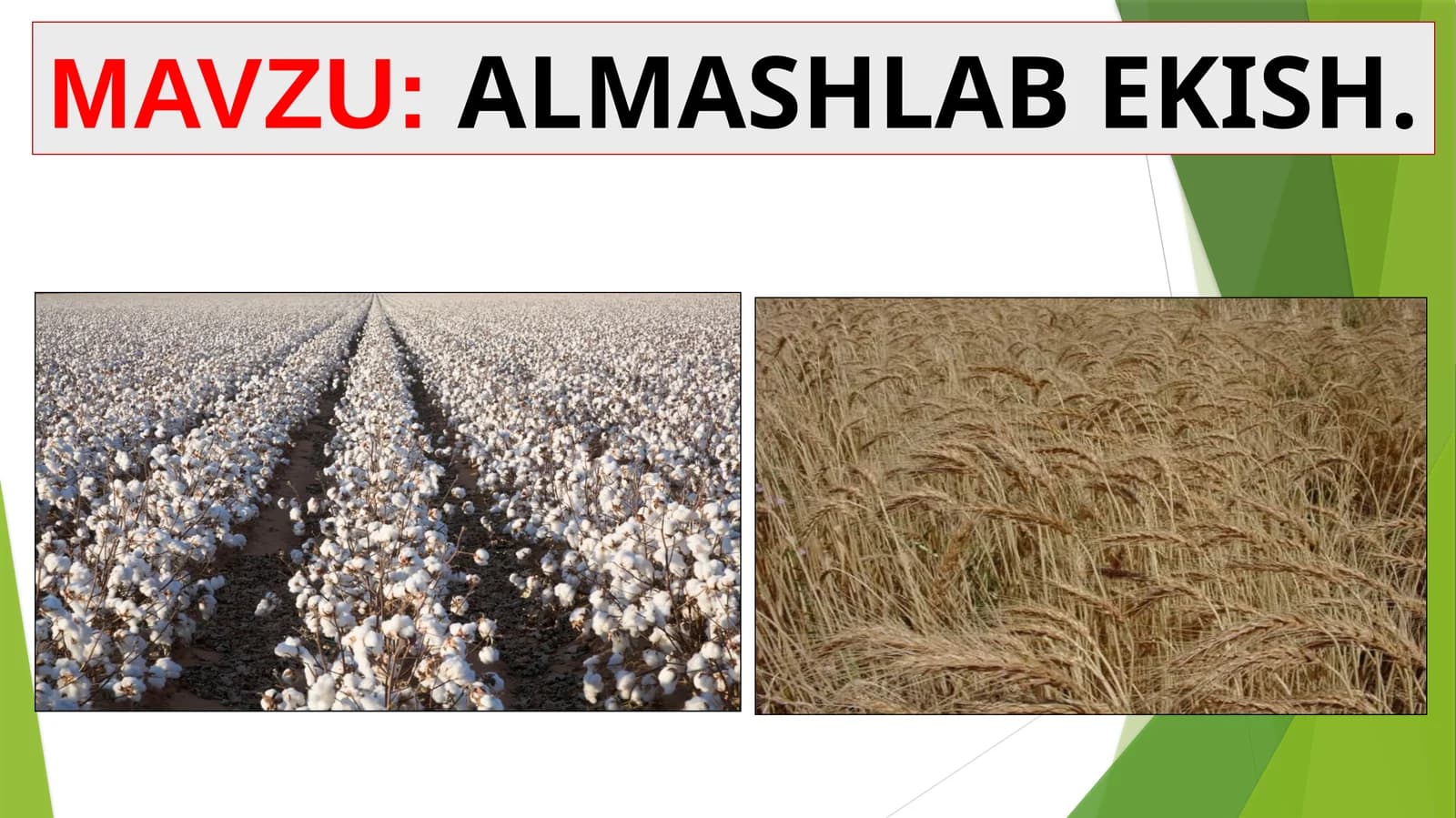 ALMASHLAB EKISH