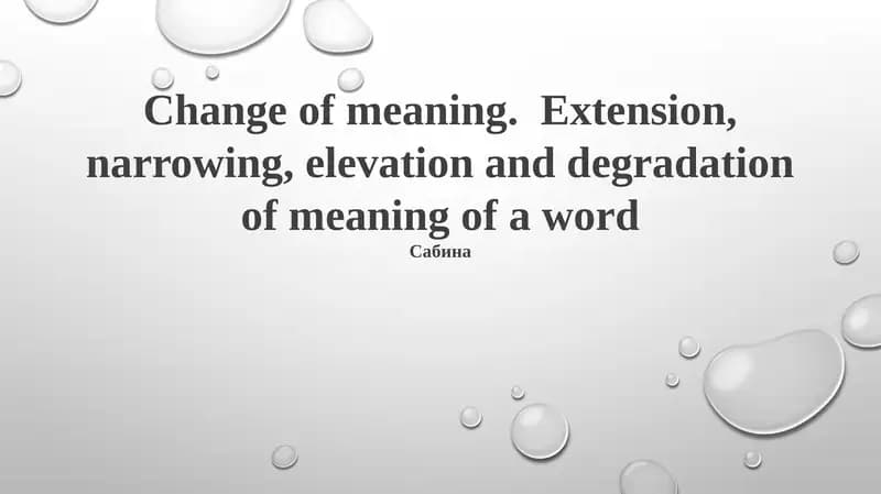 Understanding Semantic Change: Types and Mechanisms