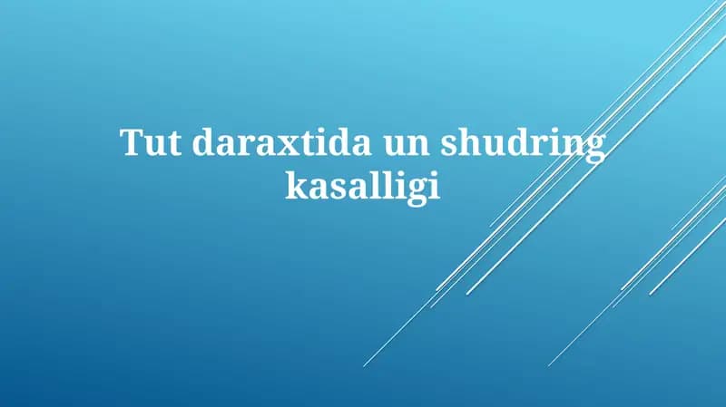 Tutdaraxti un-shudring kasalligi