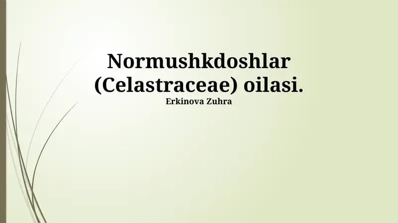 Normushkdoshlar (Celastraceae) oilasi