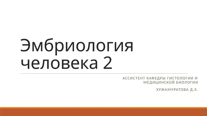 Эмбриология человека 2