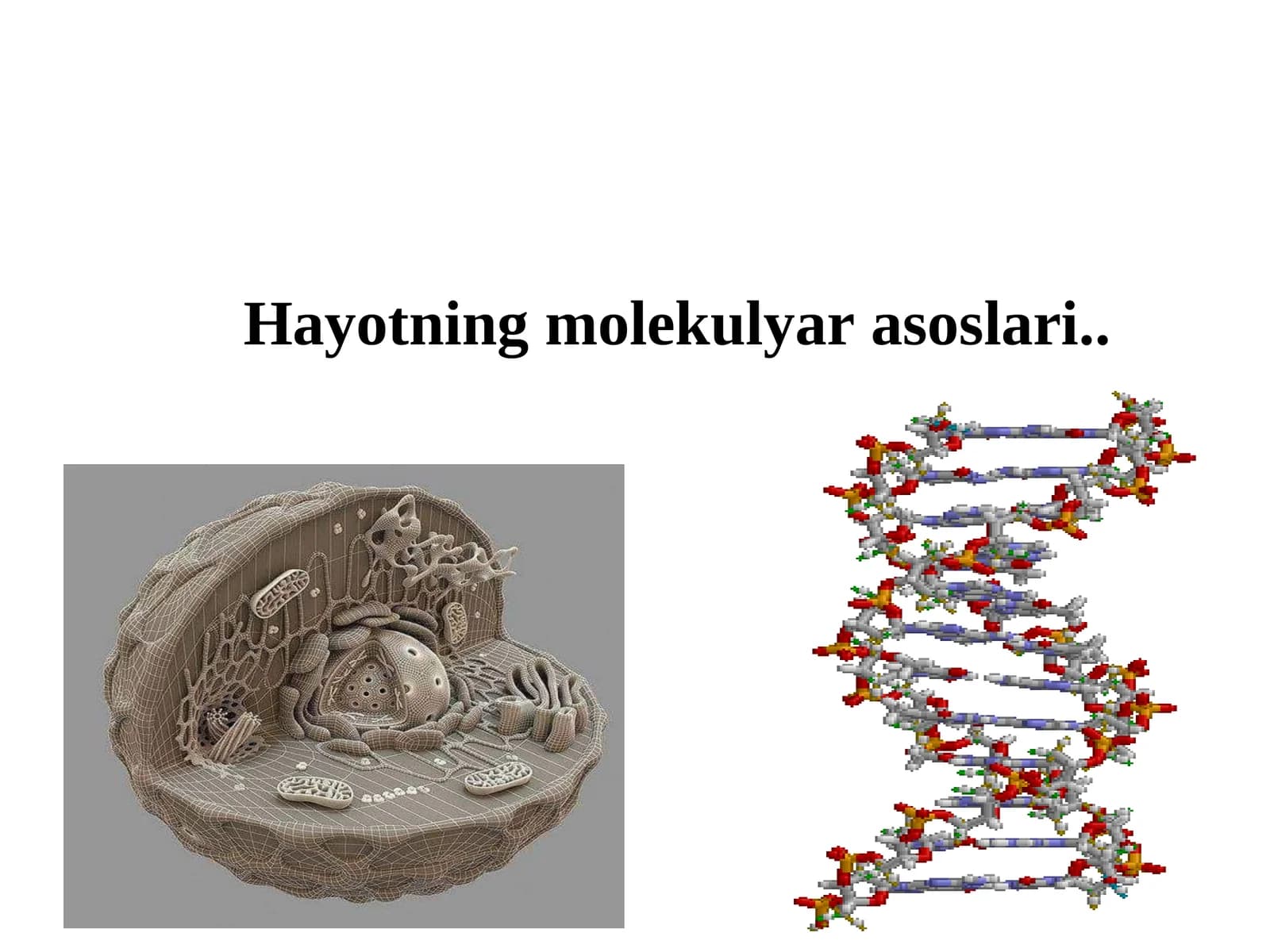 Hayotning molekulyar asoslari