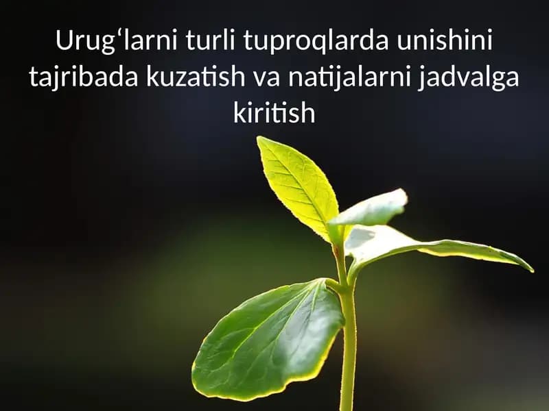 Urug‘larni turlash