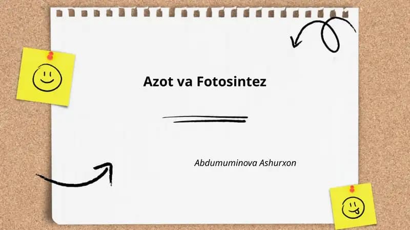 Azot va Fotosintez