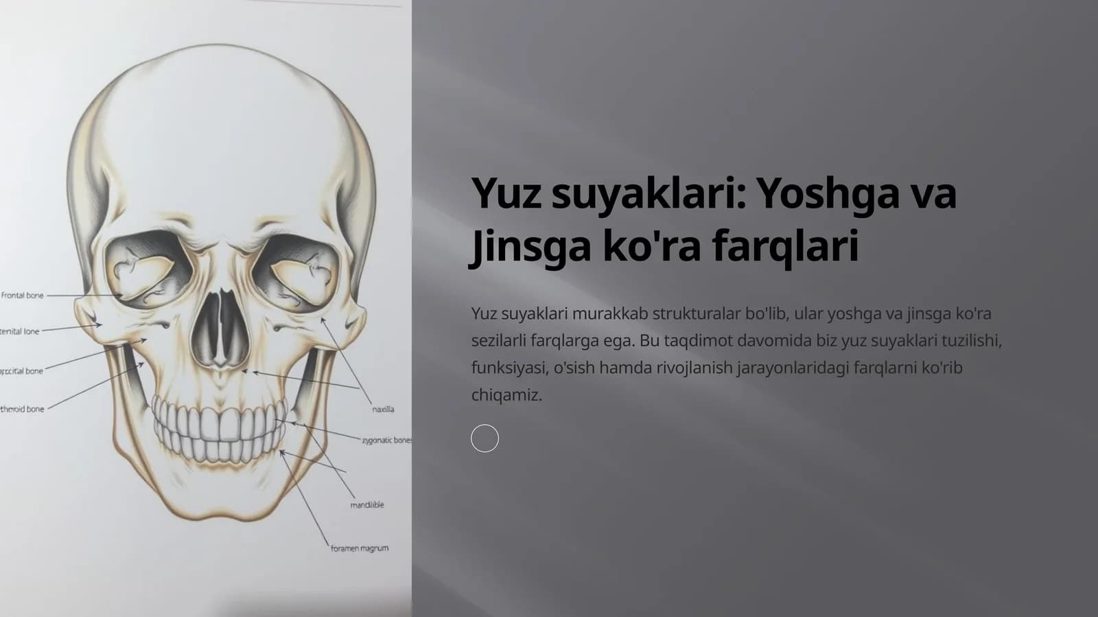 Yuz suyaklari: Yoshga va Jinsga ko'ra farqlari