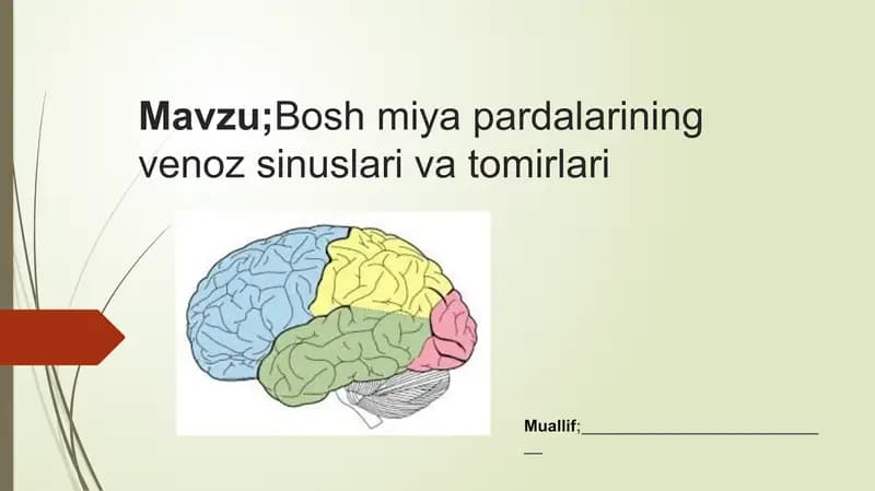 Boshmiyapardalariningvenozsinuslari va tomirlari
