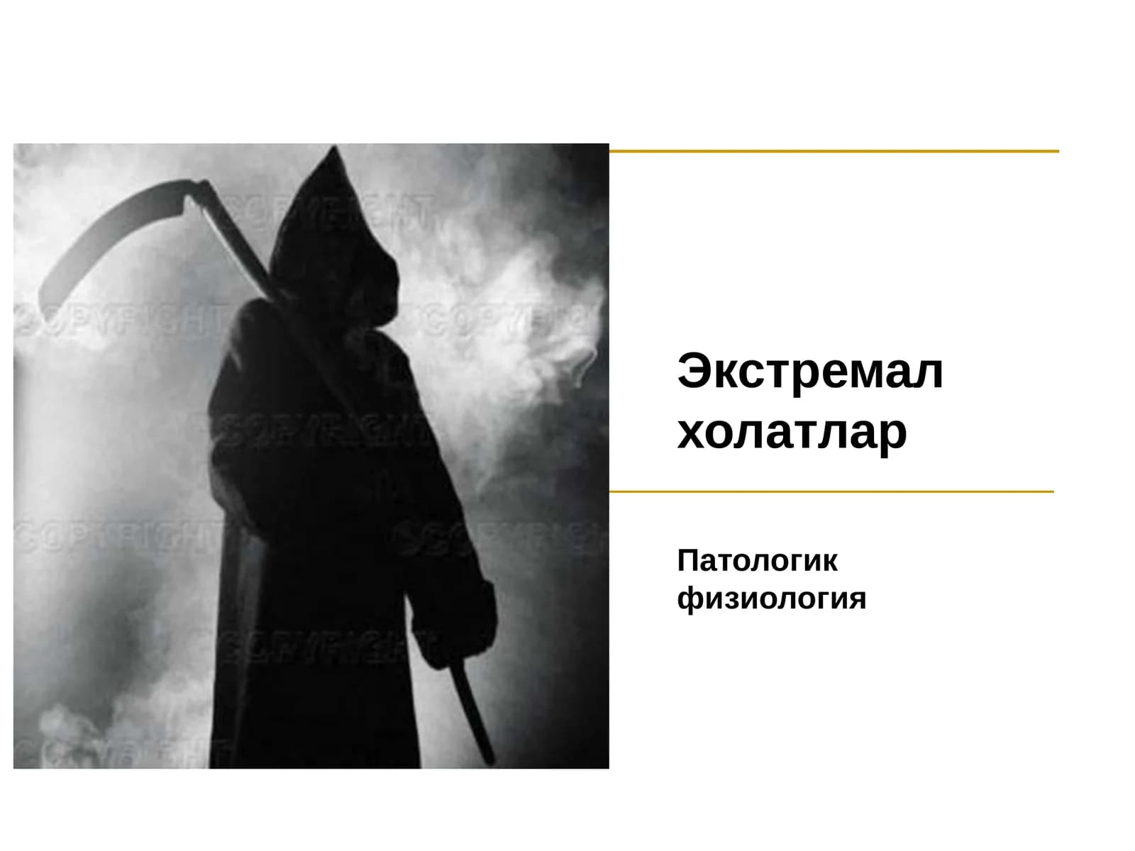 Экстремал холатлар