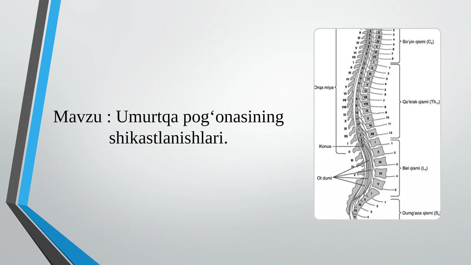 Umurtqa pog‘onasining shikastlanishlari