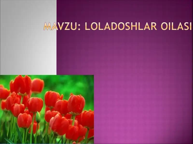 Loladoshlar oilasi