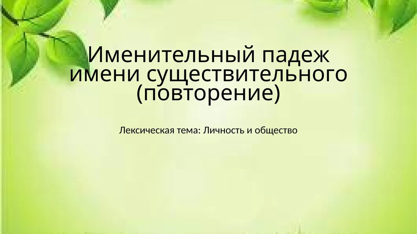 Именительный падеж имени существительного (повторение)