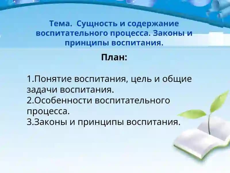 Цели воспитания в педагогике