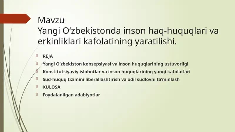 Mavzu Yangi O'zbekiston inson haq huquqlari haqida.