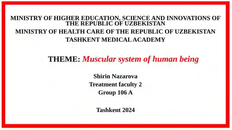 Muscular system of human being