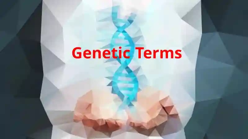 GeneticTerms