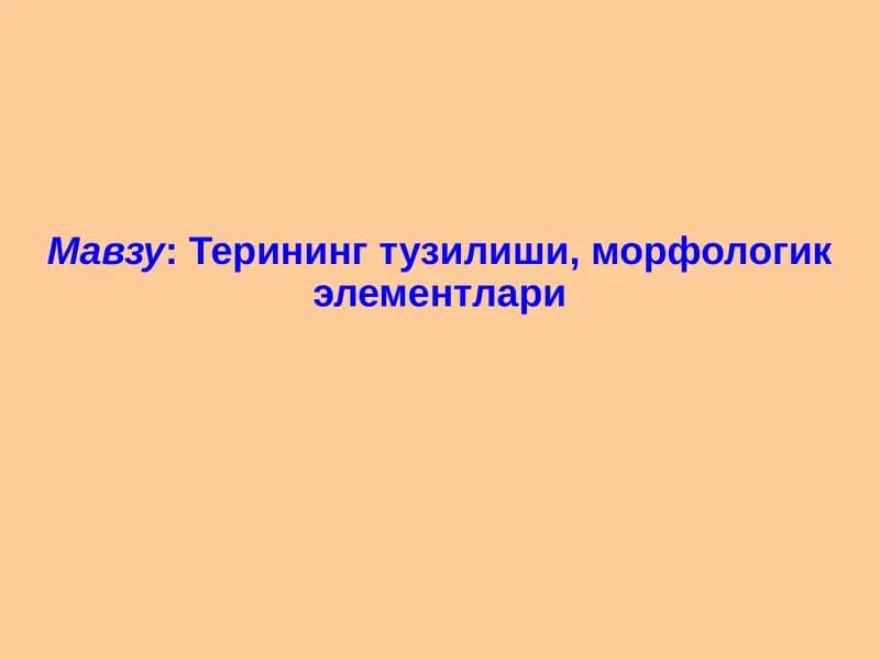 Терининг тузилиши, морфологик элементлари
