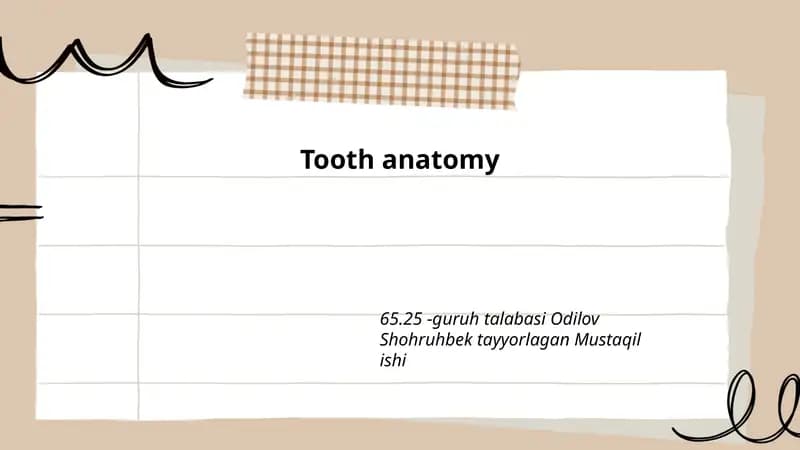 Tooth anatomy