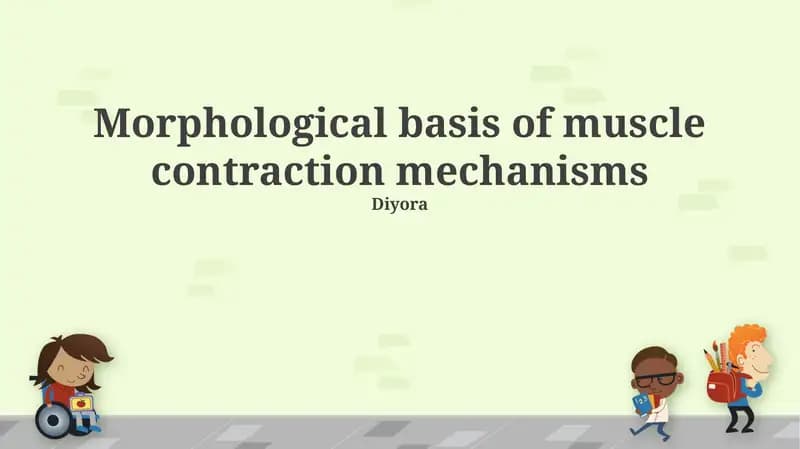 Morphological basis of muscle contraction mechanisms