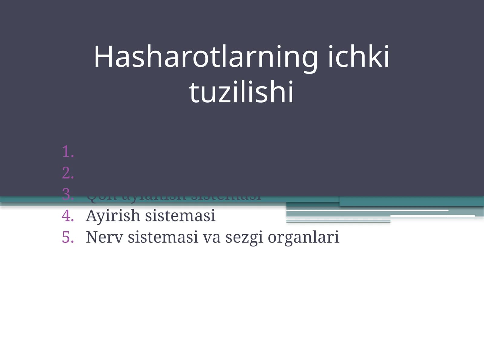 Hasharotlarning ichki tuzilishi