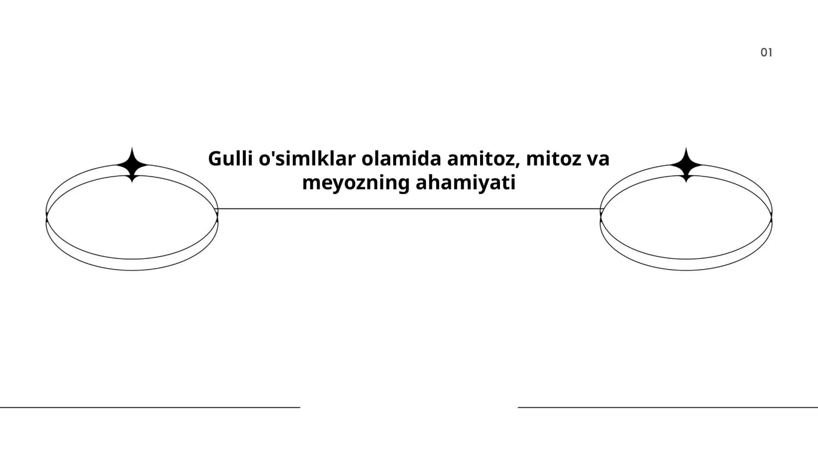 Amitoz, Mitoz va Meyoz Jarayoni