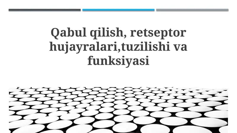 Receptor Hujayralari