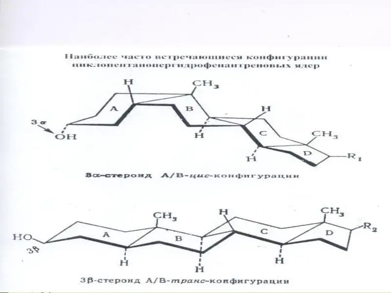 Sabunlanmaydigan lipidlar