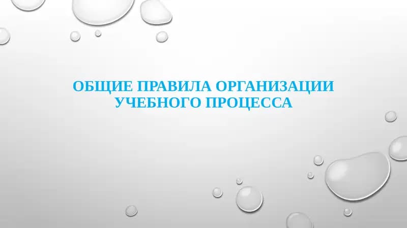 Общие правила организации учебного процесса