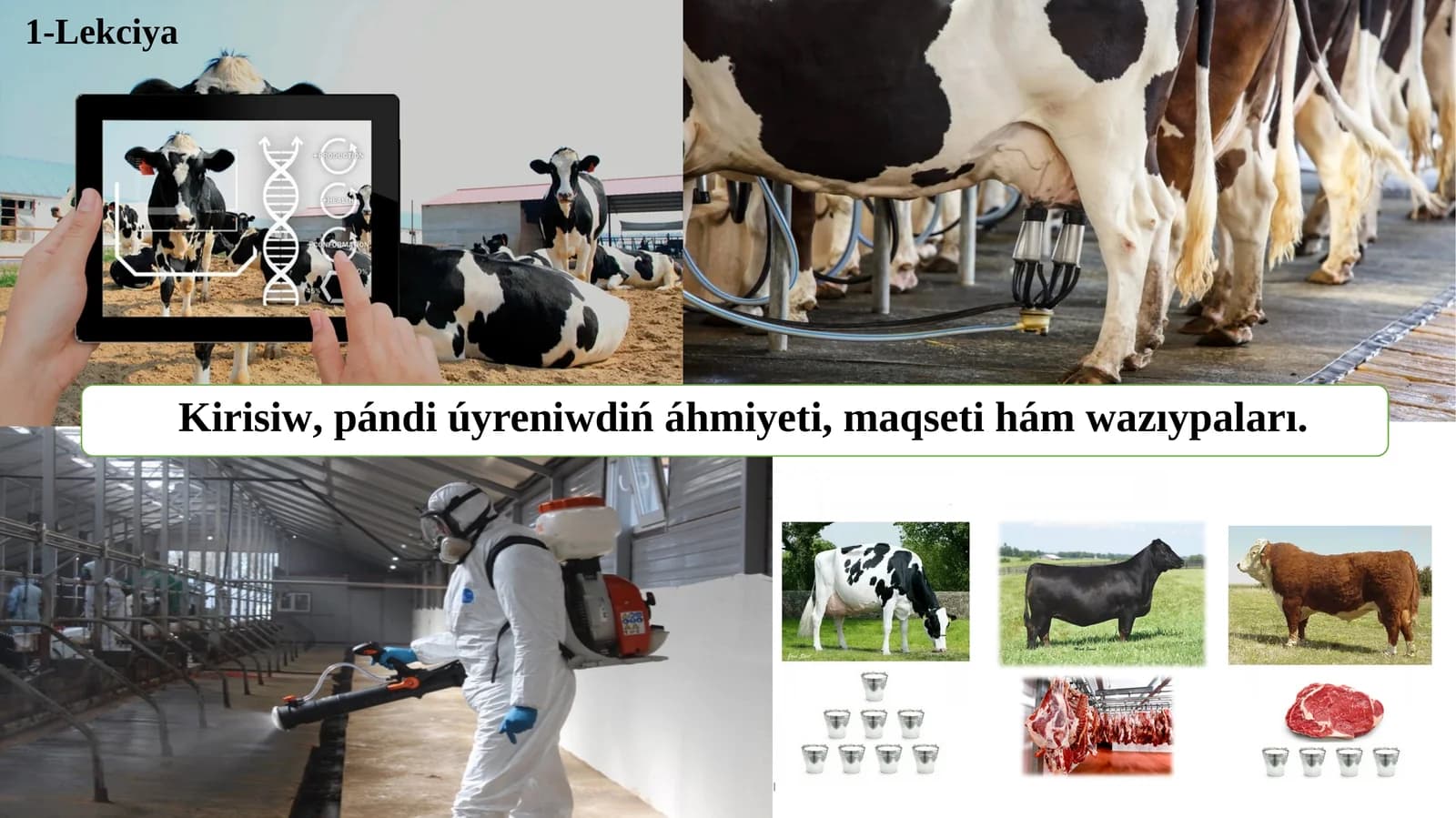 Zoogigiyena va chorvachilik binolarini loyihalash
