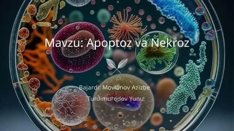 Apoptoz va Nekroz