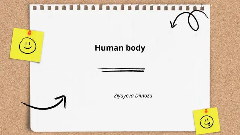 Human body