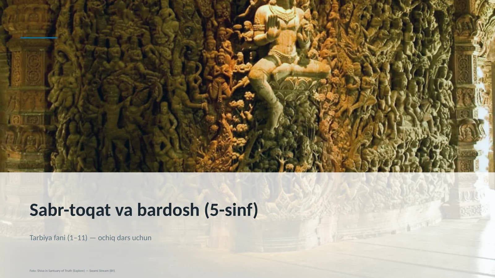 Sabr-toqat va bardosh (5-sinf)