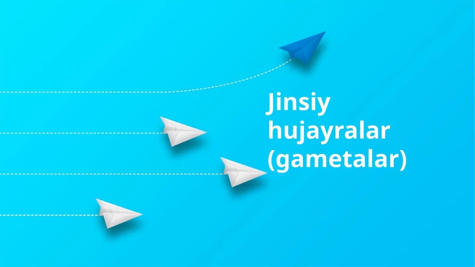 Jinsiy hujayralar (gametalar)