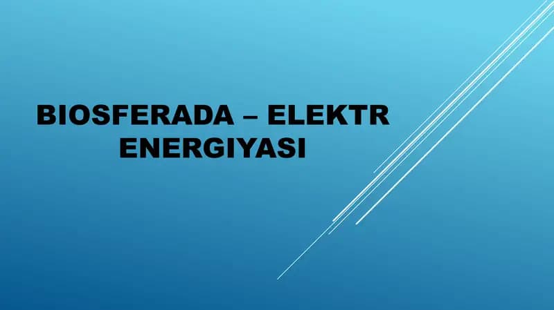 BIOSFERADA – ELEKTR ENERGIYASI