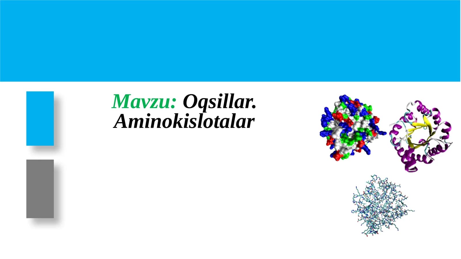 Oqsillar. Aminokislotalar